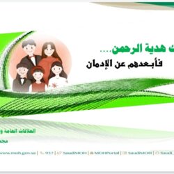 مجلس الوزراء يوافق على تمديد مهلة تصحيح أوضاع مدارس تعليم قيادة المركبات