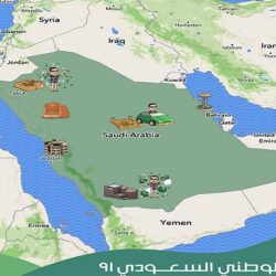 بدء صرف مستحقات الدفعة الـ12 لمزارعي القمح المحلي