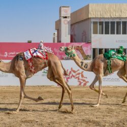 الدوري الممتـاز لكرة اليد ينطلق بـ 6 مواجهات