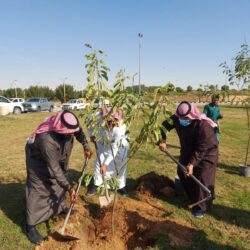 متحدث «الصحة»: الجهات المتخصصة تضع المملكة في مراتب متقدمة عالمياً