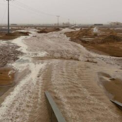 استقبله أمير منطقة مكة المكرمة.. الرئيس أردوغان يصل إلى جدة