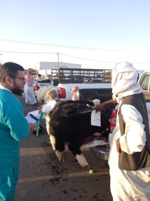 فرع البيئة والمياه والزراعة في حائل يطلق حملة “أضحيتي”