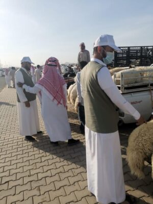 الفرق الرقابية تكثف حملاتها على المسالخ والأسواق في حائل