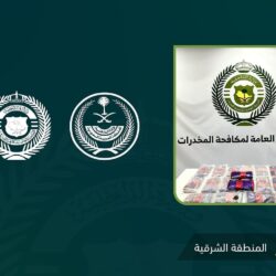 نصب واحتيال ومساس بالآداب العامة.. الأمن العام يستعرض جرائم أطاح بمرتكبيها