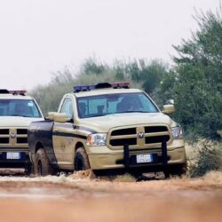 نجران.. إحباط محاولة تهريب 20.75 كيلوجرامًا من مادة الحشيش المخدر