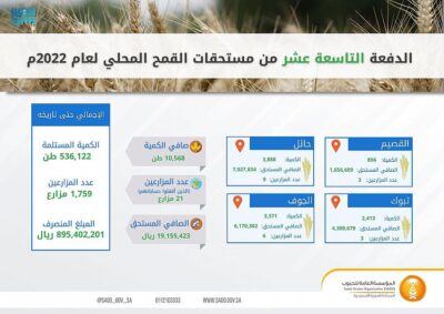 “المؤسسة العامة للحبوب” تصرف مستحقات الدفعة التاسعة عشر لمزارعي القمح المحلي