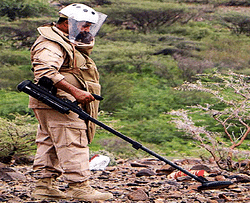 توفير الغذاء لـ750 مليون شخص.. إصدار البيان الرئاسي لـ”مبادرة الشرق الأوسط الأخضر”