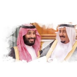 استثمارات الورد الطائفي تتجاوز 64 مليون ريال بالسوق السعودية