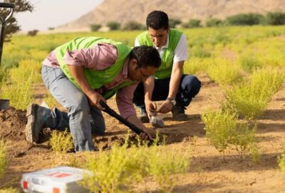 في 7 مواقع بمكة.. “الغطاء النباتي” يجري مسوحات حقلية لأكثر من 10 آلاف هكتار