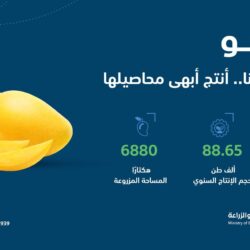 تعليق الدراسة الحضورية غدًا في تعليم الطائف