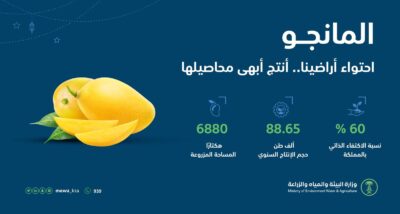 “البيئة “: الإنتاج المحلي من المانجو يتجاوز 88.6 ألف طن سنويًا محققًا60 % نسبة اكتفاء ذاتي