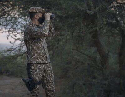 القوات الخاصة للأمن البيئي تسيطر على أسد طليق في أحد أحياء الرياض