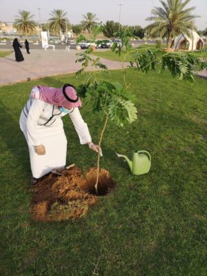 بلدية محافظة البكيرية تُنفذ مبادرة ” زراعة الشتلات والأشجار “