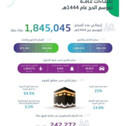 متحدث الأمن العام: منظومة الحج مدعمة بكافة الممكنات التقنية والكوادر البشرية