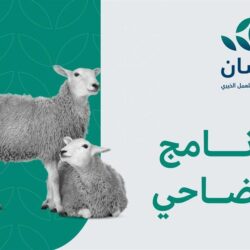 الإعلان الرسمي خلال ساعات.. تطور مثير في صفقة انتقال كانتي إلى الاتحاد