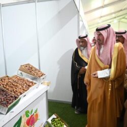 مدعوما بالذكاء الاصطناعي.. شركة ميتا تطلق “مترجما قويا”