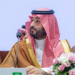 وزير الطاقة: السعودية في الاتجاه الصحيح ليصبح اقتصادها ضمن أكبر 15 اقتصادا بحلول 2030