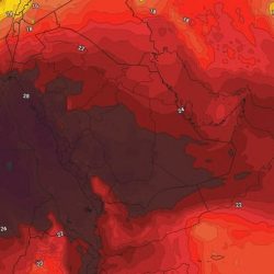 القبض على 7 أشخاص لتجسيدهم مهمات رجال الأمن بشكل غير لائق