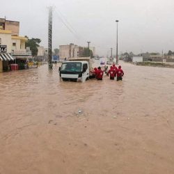 أمانة الرياض تعلن عن خطط تطوير وتأهيل متنزه النهضة