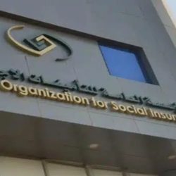 بينها الفاكهة والخضار المقطعة مسبقاً.. 4 أطعمة احذرها