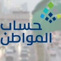 جازان.. القبض على 4 مخالفين لتهريبهم نبات القات المخدر