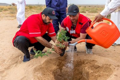 بلدية الفوارة تستكمل زراعة المنتزه البري بالفوارة