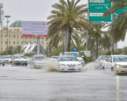 القبض على مواطن بحوزته حطب محلي معروض للبيع بالجوف