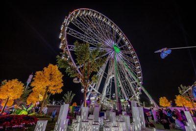 تجربة 55M Wheel.. عين بانورامية على منطقة وندر جاردن بموسم الرياض