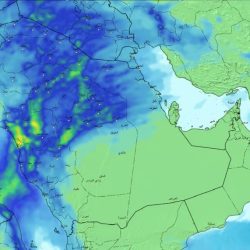 الإحصاء: الميزان التجاري السعودي يحقق فائضًا للشهر الـ38 على التوالي