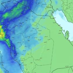 فرص استثمارية مربحة في قطاع التعليم أمام المستثمرين الأجانب بالسعودية