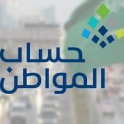 “الحياة الفطرية”: النمر العربي يشكل رمزاً ثقافياً وبيئياً وجمالياً بذاكرة شبه الجزيرة العربية