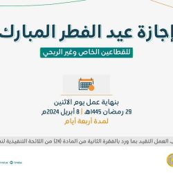 متحدث «الدفاع المدني»: عبور الأودية أثناء جريانها مخالفة مرورية تصل غرامتها إلى 10 آلاف ريال