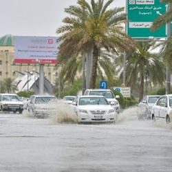 ما الفرق بين الشركات المملوكة لغرض المضاربة و«الهادفة للاستثمار»؟ «الزكاة» توضح