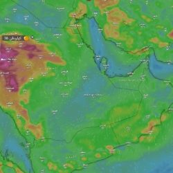 بدء تقديم الخريجات على الوظائف التعليمية الجديدة