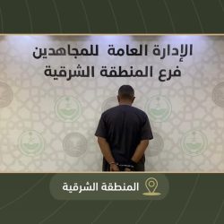 لمدة يومين..”المرور” يطرح مزادًا إلكترونيًا لشراء اللوحات المميزة غدًا عبر “أبشر”