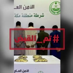 “الضمان الاجتماعي”: عدم صحة بيانات المستفيد بمنصة الدعم يُوقف صرف المعاش