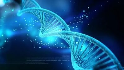 باحثون يكتشفون مرضًا نادرًا يؤدي إلى معرفة الجينات المرتبطة بالشيخوخة