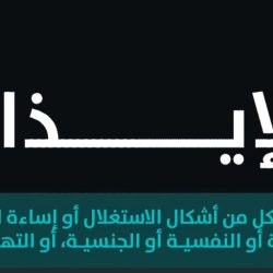 المملكة عضواً في المجلس الاقتصادي والاجتماعي (ECOSOC) للفترة 2025-2027م