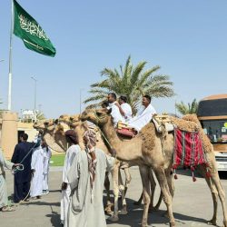 محافظ النبهانية يترأس الاجتماع بمدراء الأجهزة الحكومية