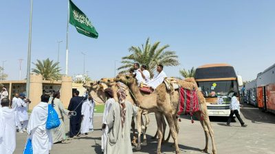 ‏بلدية رنية ‏تفعّل مبادرة ‏الحج على ظهور الإبل