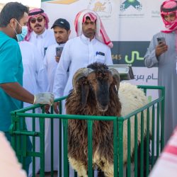 إطلاق الطرح العام الثانوي لأسهم عادية في أرامكو.. الأحد