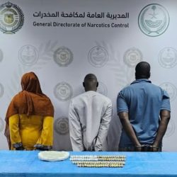 الأمن المصري: الفتاة التي سقطت من سيارة النقل تحمل جنسية إفريقية.. والسائق حاول التحرش بها وتم ضبطه