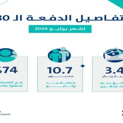 القبض على 3 مواطنين وإحباط ترويج كمية من الحشيش والقات في تبوك وعسير