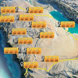 بالتعاون مع الأردن.. السعودية تنفذ عملية إسقاط جوي لـ30 طناً من المواد الغذائية لقطاع غزة