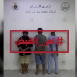 مجلس شؤون الأسرة يحذّر أصحاب العمل: لا فصل للمرأة العاملة أثناء الحمل أو إجازة الوضع