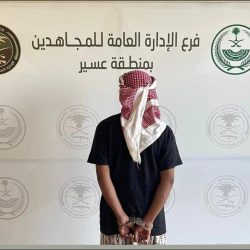 “البديوي”: الهجمات الإسرائيلية على “الحديدة” تُضاعف حدة التوتر الحالي في المنطقة