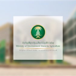 طقس السبت.. توقعات بهطول أمطار رعدية مصحوبة برياح نشطة وزخات من البرد على عدة مناطق