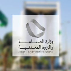 دعم توظيف 153 ألف سعودي بالقطاع الخاص خلال النصف الأول من 2024