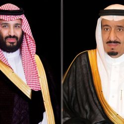 “آل الشيخ”: السعوديون لا يهتمون بالذباب! فهم مشغولون في البناء والإحسان