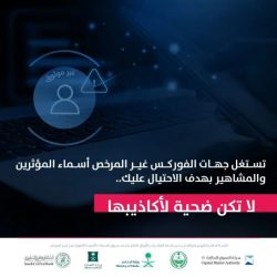 عمليات أمنية ناجحة تسفر عن القبض على مخالفين وضبط أكثر من نصف طن من المواد المخدرة